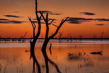 Image showing Dusk skies over the magnificent Menindee Lake