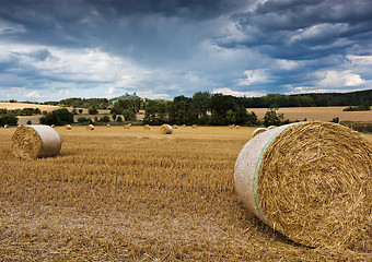 Image showing Summer landscape with field and Trosky Castle, Czech Republic