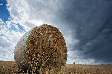 Image showing A straw pack in a field in summer