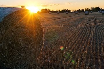 Image showing A straw pack in a field in the evening