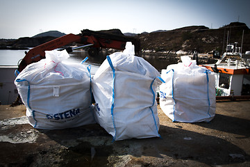 Image showing Picking up Plastic Waste