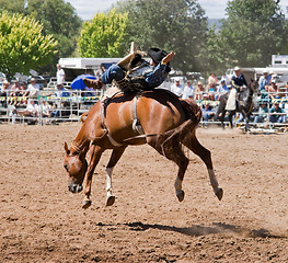 Image showing Bucking Horse