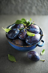 Image showing Plum