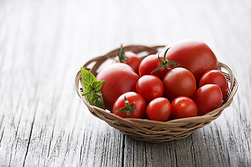 Image showing Tomato