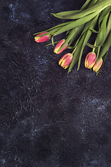 Image showing Tulips on darken concrete background