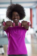 Image showing woman working out in a crossfit gym with dumbbells