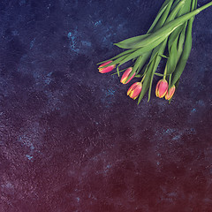 Image showing Tulips on darken concrete background