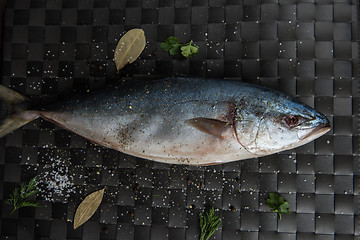 Image showing Tuna fresh fish