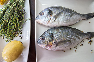 Image showing Fresh uncooked dorado