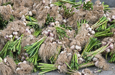 Image showing Fresh garlics in a market