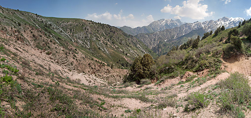 Image showing Chimgan mountains, Uzbekistan