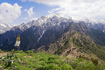 Image showing Chimgan mountains, Uzbekistan