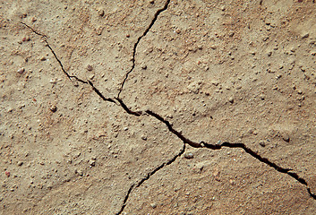 Image showing Cracked earth close-up