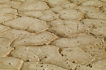 Image showing Cracked earth close-up