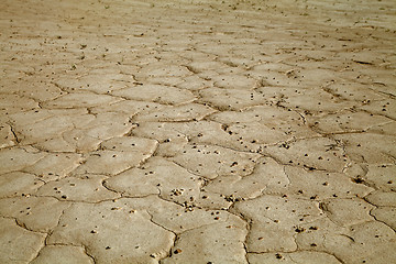 Image showing Cracked earth close-up