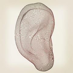 Image showing Ear digital model. 3d illustration. Vintage style