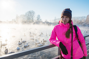 Image showing Beautiful white whooping swans