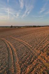 Image showing Agircutural field in late sunlight