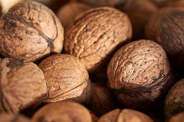 Image showing Walnuts in a pile