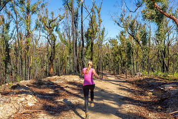 Image showing Woman running along dirt trail in forest area