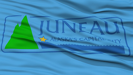 Image showing Closeup Juneau Flag