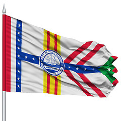 Image showing Tampa City Flag on Flagpole, USA