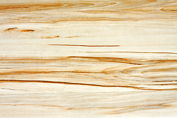 Image showing Light wood