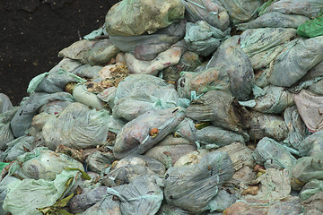 Image showing Waste