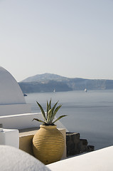 Image showing house hotel with plant over sea santorini