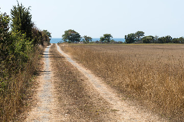 Image showing Dirt road to the coast
