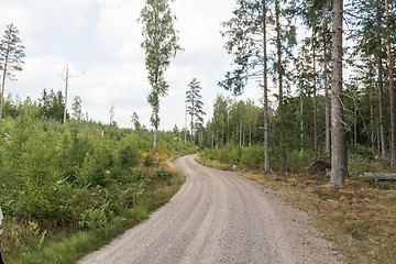 Image showing Winding forest dirt road