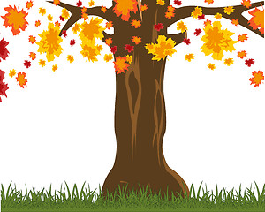 Image showing Tree on glade throws .Vector illustration autumn tree
