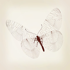 Image showing Line butterfly concept. 3d illustration. Vintage style