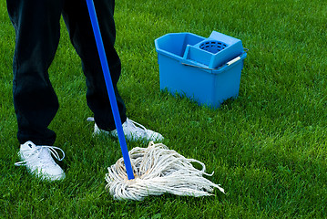 Image showing Cleaning The Earth