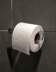 Image showing Toilet paper roll