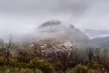 Image showing Mount Banks Blue Muntains