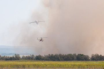 Image showing Joint firefighting by airplane and helicopter, on the floodplains of the Anapka River, Anapa, Russia