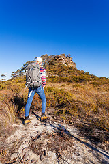 Image showing Hiking in National Parks Australia