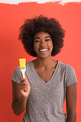 Image showing black woman painting wall