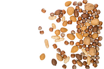 Image showing Assorted nuts isolated