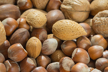 Image showing Assorted nuts close up