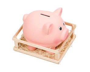 Image showing Piggy bank