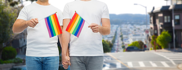 Image showing male couple with gay pride flags holding hands