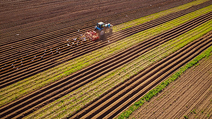 Image showing Agricultural work on a tractor farmer sows grain. Hungry birds a