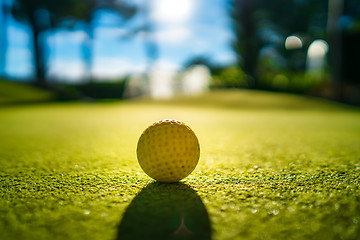 Image showing Mini Golf yellow ball on green grass at sunset