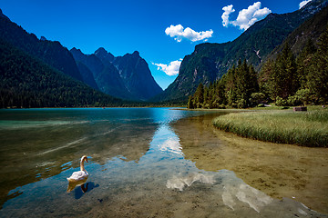 Image showing Lake Dobbiaco in the Dolomites, Italy