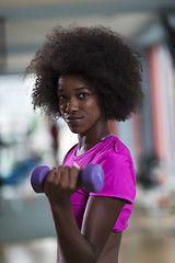 Image showing woman working out in a crossfit gym with dumbbells