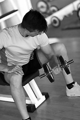 Image showing handsome man working out with dumbbells