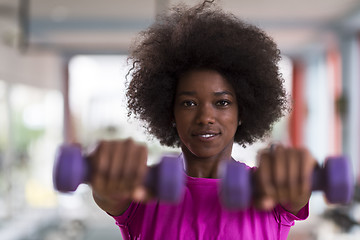 Image showing woman working out in a crossfit gym with dumbbells