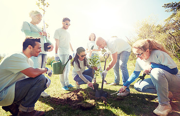 Image showing group of volunteers planting tree in park